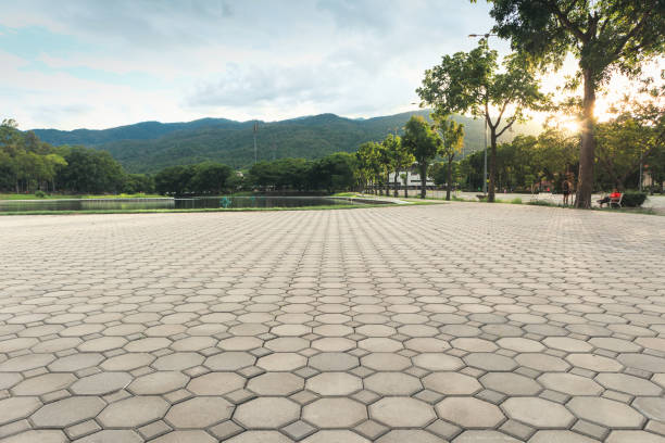 Professional Driveway Pavers in Derby, CO